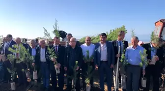 İstanbullu muhtarlar Hüyük'te fidan dikti