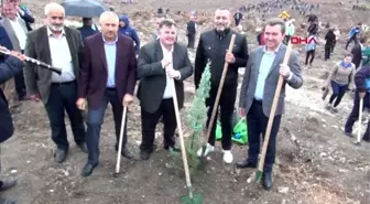 İzmir-kınık'ta 80 bin fidan toprakla buluşturuldu