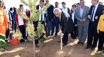 KOSKİ'den 'Geleceğe Nefes' için 42 bin fidan