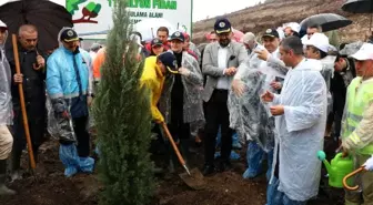 Manisa en çok fidan sahiplenmeyle Türkiye 1.'si oldu
