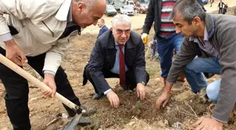 Orhaneli'de 63 bin fidan topraklı buluştu