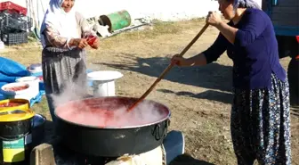 (Özel) Bir gün uğraşıp tüm kış boyunca yiyorlar