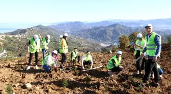 Rize'de 69 bin fidan toprakla buluştu