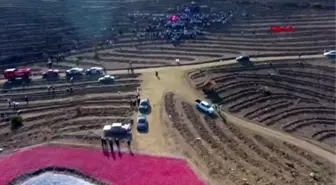 Sivas yanan ormanlık alana 'ay yıldızlı' projeyle 35 bin fidan dikildi