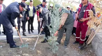 Sivrihisar'da da fidanlar toprakla buluştu