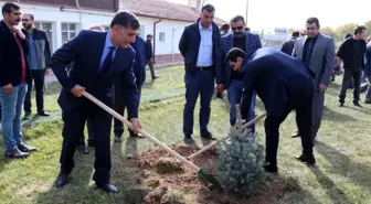 Sultansuyu Harası'nda 3 bin fidan toprakla buluştu
