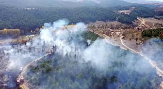 Tavşanlı'da orman yangınında 3 hektar alan zarar gördü