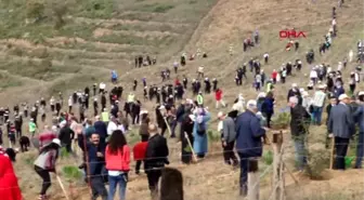 Trakya'da 302 bin fidan toprakla buluştu