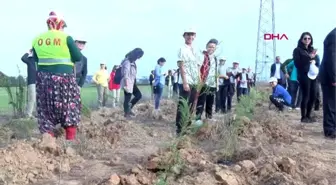 Trakya'da 302 bin fidan toprakla buluştu-çorlu