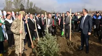 Trakya'da 302 bin fidan toprakla buluşturuldu
