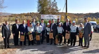 Türkiye'de 11 milyon, Kızılcahamam'da 20 bin fidan toprakla buluştu