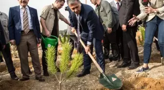 Vali Yerlikaya: Bu yıl sonu 1.5 milyon fidan toprak ile buluşacak