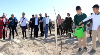 Van'da halaylı fidan dikimi