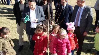 Varto'da 2 bin fidan dikildi
