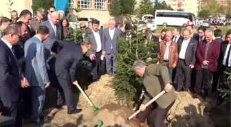 Yurt geneli fidan dikim seferberliği