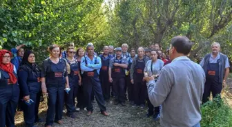 Büyükşehir Belediyesinden üreticiye uygulamalı tarım eğitimi