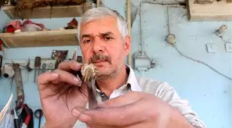 Sivaslı ustanın ürettiği bıçaklar, kabzalarıyla dikkat çekiyor