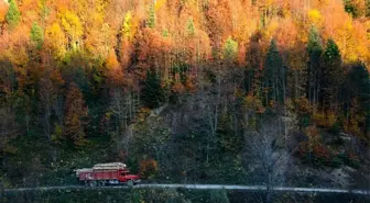 Yenice Ormanlarında kartpostallık görüntüler