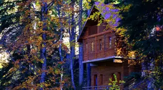 Yenice Ormanlarında kartpostallık görüntüler