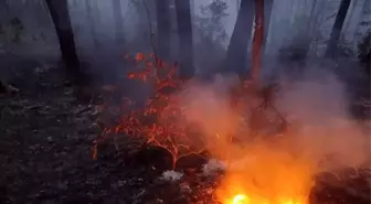 Kastamonu'da 4 hektarlık ormanlık alan yandı