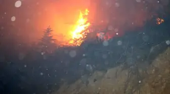 Hatay'daki orman yangını kontrol altına alındı