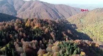 Batı karadeniz'in keşfedilmeyi bekleyen şirin beldesi gümeli'de sonbahar güzelliği