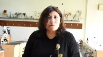 İki kişinin hastanelik olduğu tatula bitkisi için 'çok zehirli' uyarısı