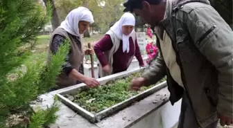 'Ölümsüz sevginin' fotoğrafı çeyiz sandığında