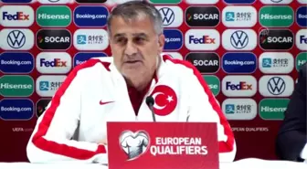 Şenol Güneş: 'Avrupa Şampiyonası'na katılmak bir hayalle birlikte hepimizin beklediği bir adımdı' -...