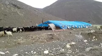 Çoban mera tepkisini çektiği videoyla dile getirdi