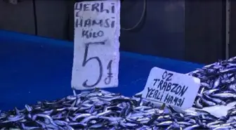 Trabzonlu balıkçılardan 'hamsi daveti'