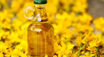 Kantaron yağı faydaları nedir? Sarı kantaron yağının faydaları nelerdir? Kantaron yağı nedir? Sarı kantaron yağı ne kadar?