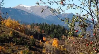 Karadeniz'de havalar soğudu, köyler sessizliğe büründü