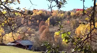 Karadeniz'de havalar soğudu, köyler sessizliğe büründü