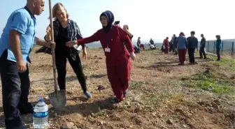 Diyabet hastalarından en tatlı hatıra ormanı