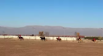 Atçılık ve antrenörlüğü bölümü genç öğrencilerin gözdesi