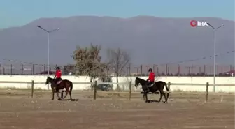 Atçılık ve antrenörlüğü bölümü genç öğrencilerin gözdesi