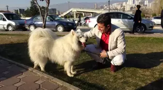 Uzun tüyleri ile görenleri hayran bırakıyor