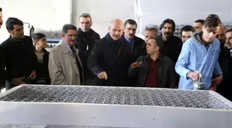 İçişleri Bakanı Süleyman Soylu: '221 kişiyi bu yıl ailelerinin desteğiyle ikna ettik'