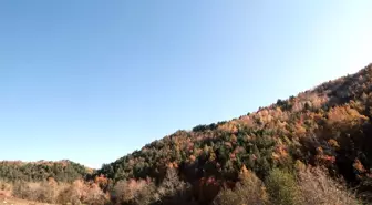 Yeşilgöz Gölü ve Başkonuş Yaylası sonbaharda başka güzel