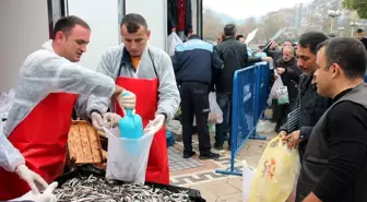 Zonguldak'ta düzenlenen hamsi festivalinde 10 ton balık dağıtıldı