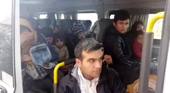 Ayvacık'ta 45 kaçak göçmen yakalandı