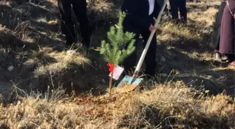 'İki Fidanı Birlikte Büyütelim' projesi kapsamında yıl içinde doğan her bebek için bir fidan dikildi