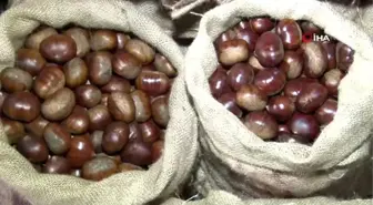 Kestane, kırmızı eti solladı