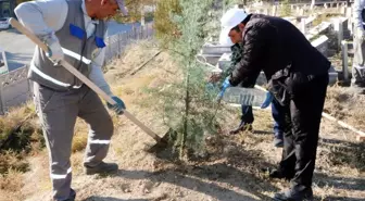 Mezarlık alanlarında 5 bin fidan toprakla buluşuyor