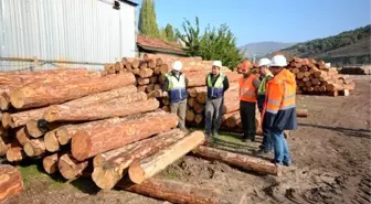 Bölge Müdürü Keskin, orman depolarında incelemelerde bulundu