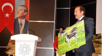 Cizre'de Cudi Dağı Ceylan Yerleştirme Sahası Projesi