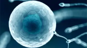 Dünyanın ilk HIV-pozitif sperm bankası Yeni Zelanda'da açıldı