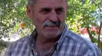 Sendikacı, ağaçtan zeytin toplarken foseptiğe düşmüş