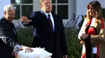 Trump İki Hindiyi Affetti